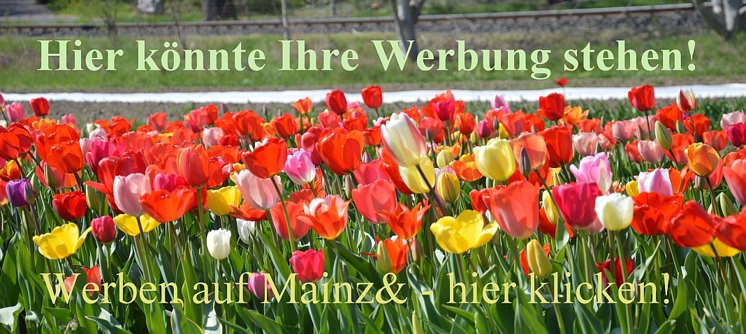 Werben auf Mainz&