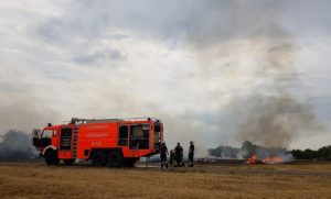 Die Feuerwehr bei einem Flächenbrand in Mainz-Kostheim im Juli 2018. - Foto: gik
