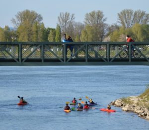 Wassersport auf dem Rhein ist bei Hochwasser lebensgefährlich, warnen die Behörden. - Foto: gik