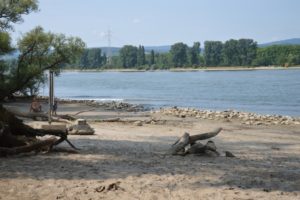 Idyllisch: Strand am Mombacher Rheinufer, "Mombeach" genannt - früher ein beliebtes Ausflugsziel an heißen Tagen, heute ist hier Lagern verboten. - Foto: gik