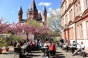 Diese Zierkirschen vor dem Römischen Kaiser müssen für die Bauphase des neuen Gutenberg Museums weichen. - Foto: Stadt Mainz 