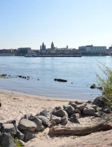 Der Rhein am Strand von Mainz-Kastel mit Blick auf Mainz. - Foto: gik
