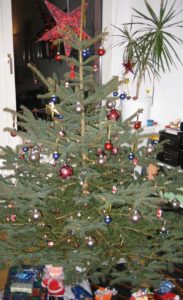 Weihnachtsbaum im Wohnzimmer. - Foto: gik