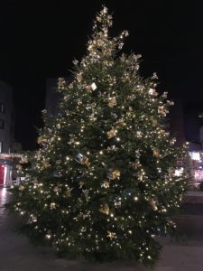 Ob groß oder klein, Weihnachtsbäume werden in Mainz am 8. Januar 2022 abgeholt. - Foto: gik