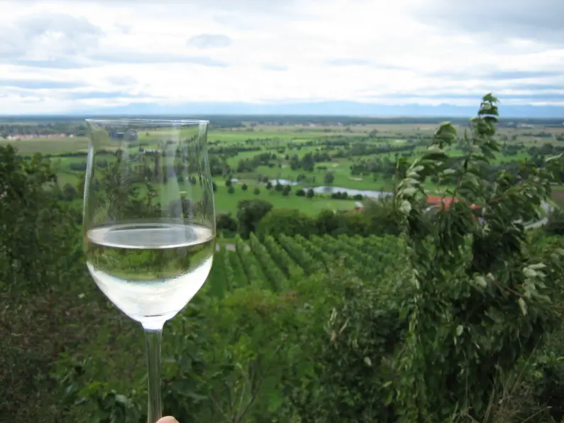 Weinglas vor Weinbergen