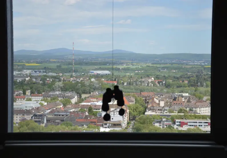 #watch22 - Fenster zum Taunus mit Fernglas - Foto kir