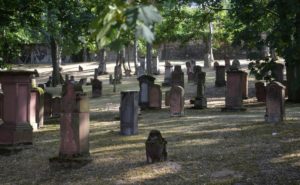 Der Alte jüdische Friedhof in Mainz am Judensand mit Jahrhunderte alten Grabsteinen. - Foto: gik