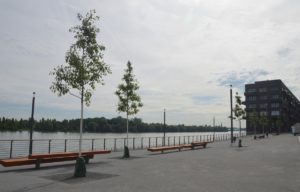 Versiegelte Betonflächen, fast ohne jedes Grün, wie hier auf der Südmole des Mainzer Zollhafens - für Klimafolgenforscher ein Alptraum. - Foto: gik