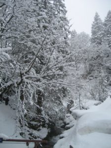 Ein Spaziergang im verschneiten Wald, das lockt jetzt gerade im Corona-Lockdown viele. - Foto: gik