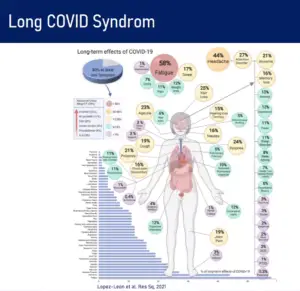 Was das Long Covid-Syndrom alles für Beschwerden im Körper auslösen kann. - Grafik: Mainzer Universitätsmedizin