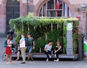 Im Sommer hatte die Stadt Mainz erstmals ein sogenanntes "Grünes Zimmer" vor dem Mainzer Hauptbahnhof aufgestellt. - Foto: Helix