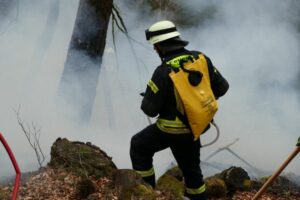 Ein Feuerwehrmann bekämpft einen Waldbrand. - Foto: Landesforsten RLP/ Burkhard Steckel
