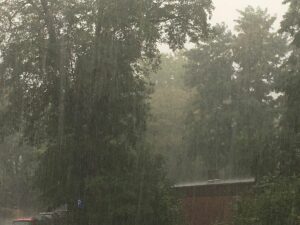 Sintflutartige Regenfälle gingen auch gestern Abend über Mainz nieder. Aktuelle Fotos haben wir leider nicht. - Foto: gik
