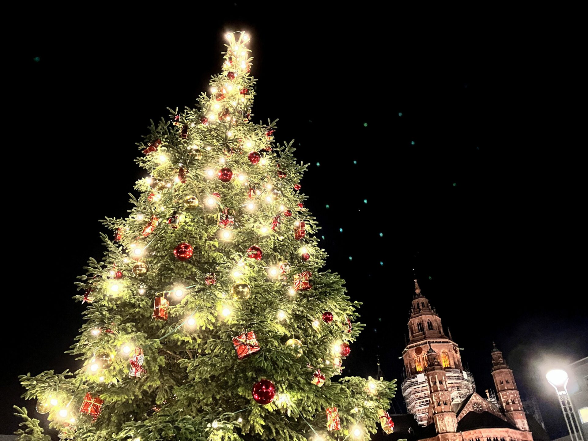 Aus für den Weihnachtsbaum Stadt Mainz holt Tannenbäume am 7. Januar