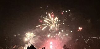 Große Feuerwerks-Show in Mainz zum Start ins Neue Jahr 2023 – Tierheim Mainz: Inferno – Drei Balkonbrände