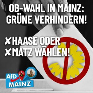 Wahlaufruf der Mainzer AfD zugunsten von Haase und Matz. - Grafik: AfD