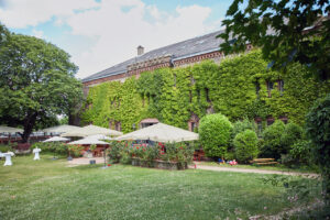 Der Garten des Restaurants Kupferberg Terrasse: Oase mitten in der Stadt. - Foto: Eulchen