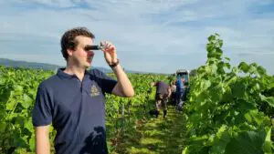 Ausblick auf den Weinjahrgang 2023: Bastian Klohr, Geschäftsführer der Weinbiet Manufaktur, misst den Zuckergehalt seiner Trauben mit einem Refraktometer. - Foto: DWI