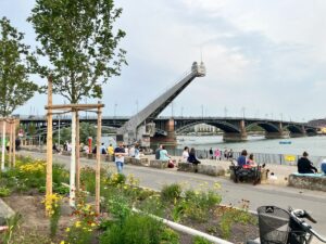 Freizeitgelände "Kranksand" in Mainz-Kastel mit Blick auf Theodor-Heuss-Brücke und Rhein Ende Juni 2023. - Foto: gik