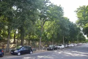 Insbesondere vor dem Alten Jüdischen Friedhof in der Mombacher Straße sollen alte Bäume weichen. - Foto: gik