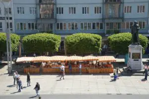 Markttreiben auf dem Gutenbergplatz vor dem Mainzer Staatstheater. - Foto: gik