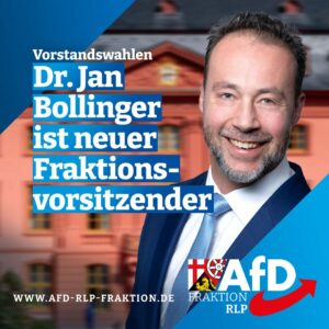 So jubelt die AfD-Fraktion nach der Wahl von Jan Bollinger zum neuen Fraktionschef im Mainzer Landtag. - Foto: AfD