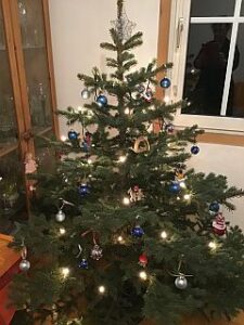 Dieser kleine Bio-Weihnachtsbaum füllte ein Wohnzimmer 2022 mit Duft, aber nicht mit Gift. - Foto: gik
