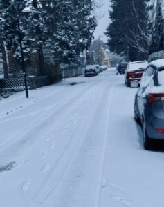 Geschlossene Schneedecke, keine Räumfahrzeuge: Besonders hart trifft es den Landkreis Mainz-Bingen. - Foto: privat
