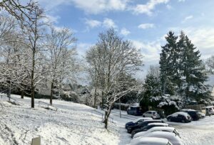 Traumhafte Winterwelt am Donnerstagmittag in Mainz: Plötzlich Schnee. - Foto: gik