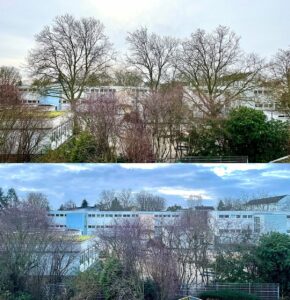 Die Peter-Härtling-Grundschule in Mainz-Finthen vorher (oben) und nach der Fällaktion ohne die alten Bäume (unten). - Fotos: Brusch