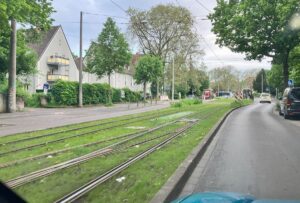 Mehr als sechs Kilometer Rasengleise wurden in Mainz eingebaut - das macht den Verkehr leiser und die Luft besser. - Foto: gik