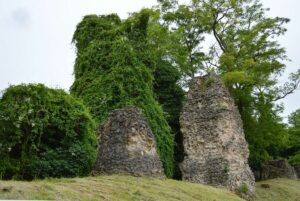 Dichte Vegetation und hohe Bäume finden sich inzwischen rund um die Römersteine in Zahlbach. - Foto: gik