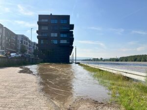 Ungewöhnlich hohe Regenmengen im Mai und Juni führten auch in Mainz zu einem Hochwasser, wie hier am Zollhafen: Ideale Brutbedingungen für Stechmücken. - Foto: gik