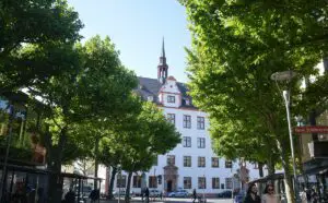 Bäume beschatten die Haltestelle Höfchen in der Mainzer Innenstadt, im Hintergrund die Alte Universität. - Foto: gik