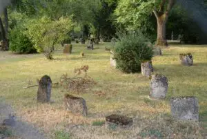 Der älteste Bereich des Friedhofs wurde als "Denkmalfriedhof" neu errichtet. - Foto: gik