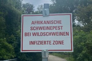 Warnschild Afrikanische Schweinepest. - Foto: Kreis Mainz-Bingen 