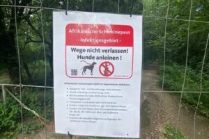 Absperrzaun mit Warnschild in Sachen Afrikanische Schweinepest: Bitte Ernst nehmen! - Foto: Kreis Mainz-Bingen