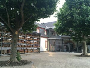 Der Innenhof des Mainzer Landesmuseums mit dem Schwerlastregal für Steindenkmäler (links). - Foto: gik