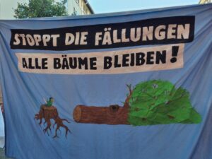 Das neu formierte Baumbündnis Mainz fordert prioritär den Erhalt alter Bäume, gerade auch bei Bauvorhaben der Stadt Main. - Foto: NABU Mainz