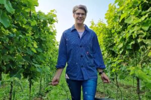 Winzerin Simone Gutting vom Weingut Mohr-Gutting bei der Lese der ersten Trauben des Jahres für den Federweißen. - Foto: DWI