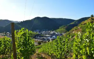 Weinberge bei Mayschoß im Ahrtal, das Foto stammt aus dem Jahr 2022. - Foto: gik