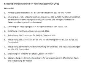 Beginn der insgesamt 34 Punkte umfassenden "Giftliste" der Finanzverwaltung der Stadt Mainz für Einsparungen und Mittelerhöhungen im Haushalt 2025. - Screenshot: gik