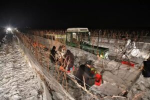 Eisweinlese im Weinberg bei Nacht. - Foto DWI