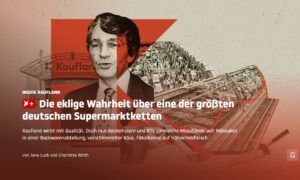 Titelbild des Magazins Stern zu "Inside Kaufland", einer großen Undercover-Recherche von Stern und RTL zu massiven Mängeln bei der Supermarktkette. - Screenshot: gik