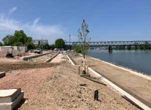 Der zweite Bauabschnitt des Grünufers auf der Nordmole erstreckt sich zwischen Kran und Eisenbahnbrücke, hier senkt sich das Ufer terrassenförmig zum Rhein, hier soll es auch eine "Auenwald" geben. - Foto: gik