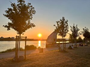 Sonnenuntergang am Kransand in Mainz-Kastel am Dienstagabend - Zeichen für viel Dreck in der Luft. - Foto: gik