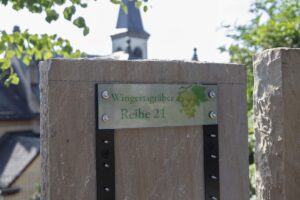 So sehen die Markierungen für die Wingertsgräber in Mainz-Laubenheim aus. - Foto: Wirtschaftsbetrieb, C Schulze