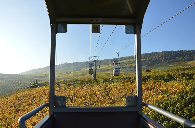 Saisoneroffnung Seilbahn Rudesheim Mit Flatrate Entspannt Ubers Rebenmeer Gondeln Mainz