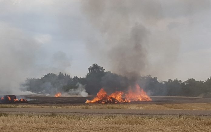 Kerzen und Grablichter auf Friedhöfen in Mombach und Gonsenheim verboten – Hohe Brandgefahr – Temperatur Rhein steigt – Ozonwerte nicht über Gefahrenwert