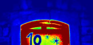 Mainz&-Adventskalender Türchen # 10: Weihnachtsbaumverkauf zugunsten des Mainzer Doms – Dombauverein lädt zum Treff mit Bischof Kohlgraf